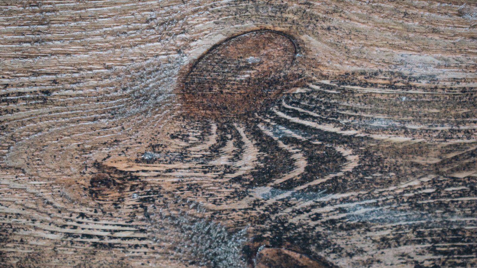 Charred and Smoked - Image 7