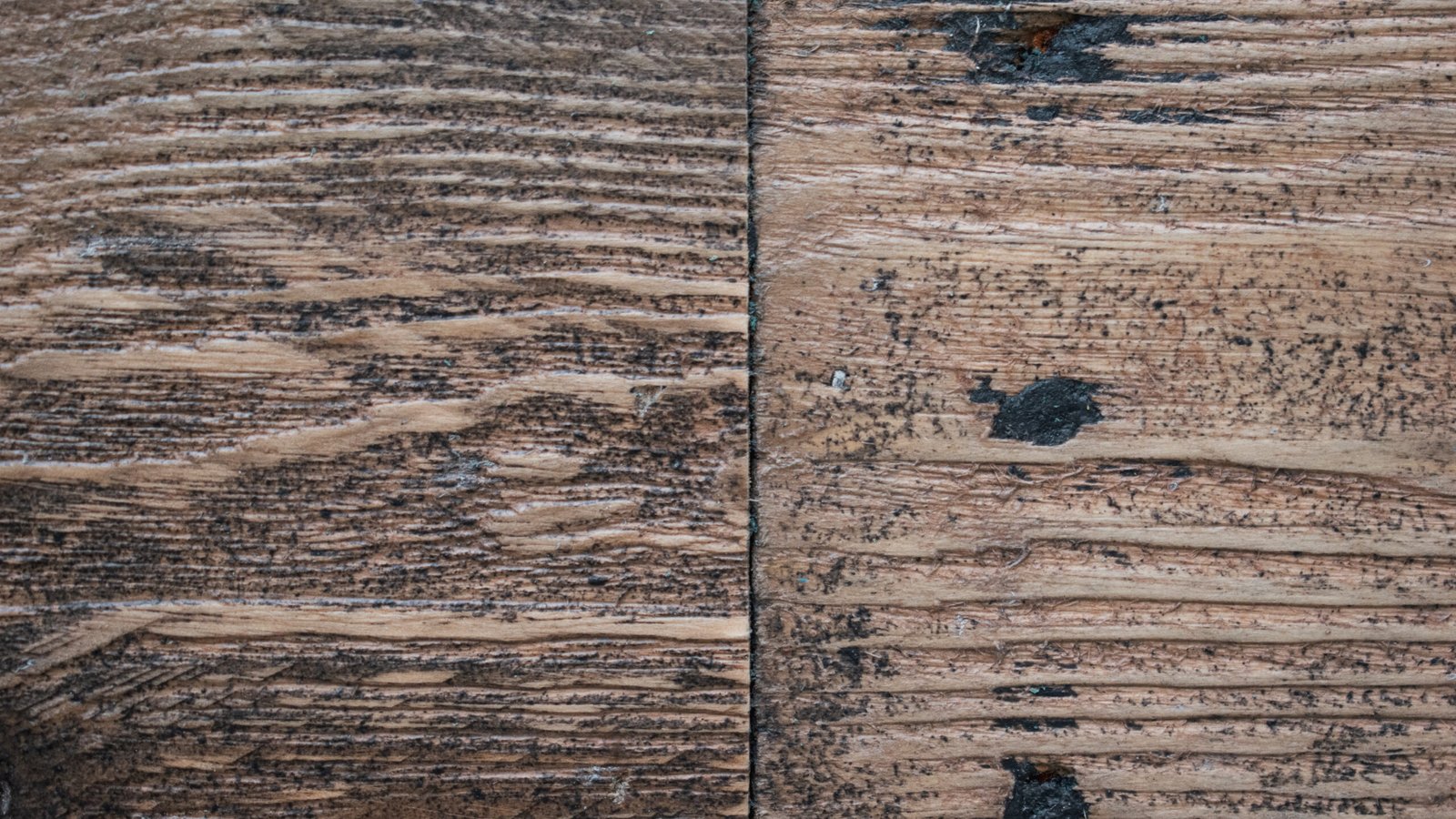 Charred and Smoked - Image 8