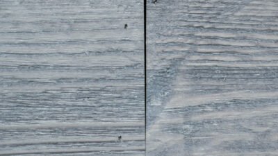 Eucalyptus Grey - Image 8