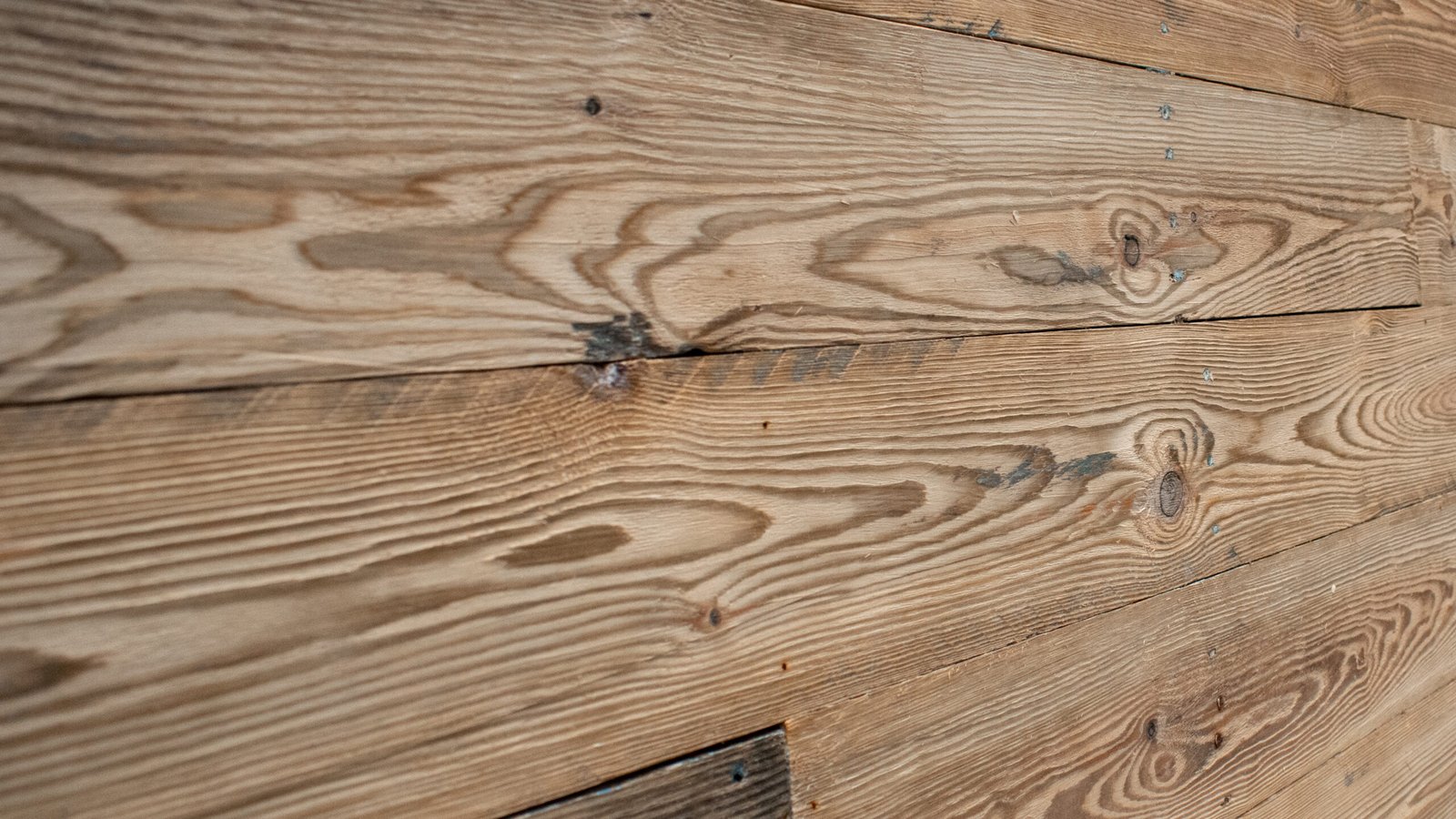 Taverna Naturale - Image 3