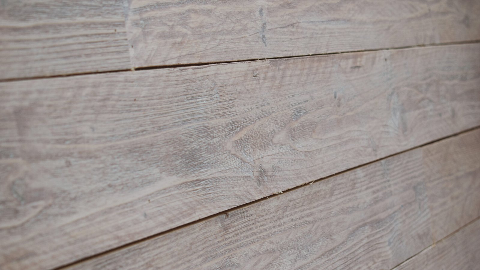 Trikala Frost - Image 3