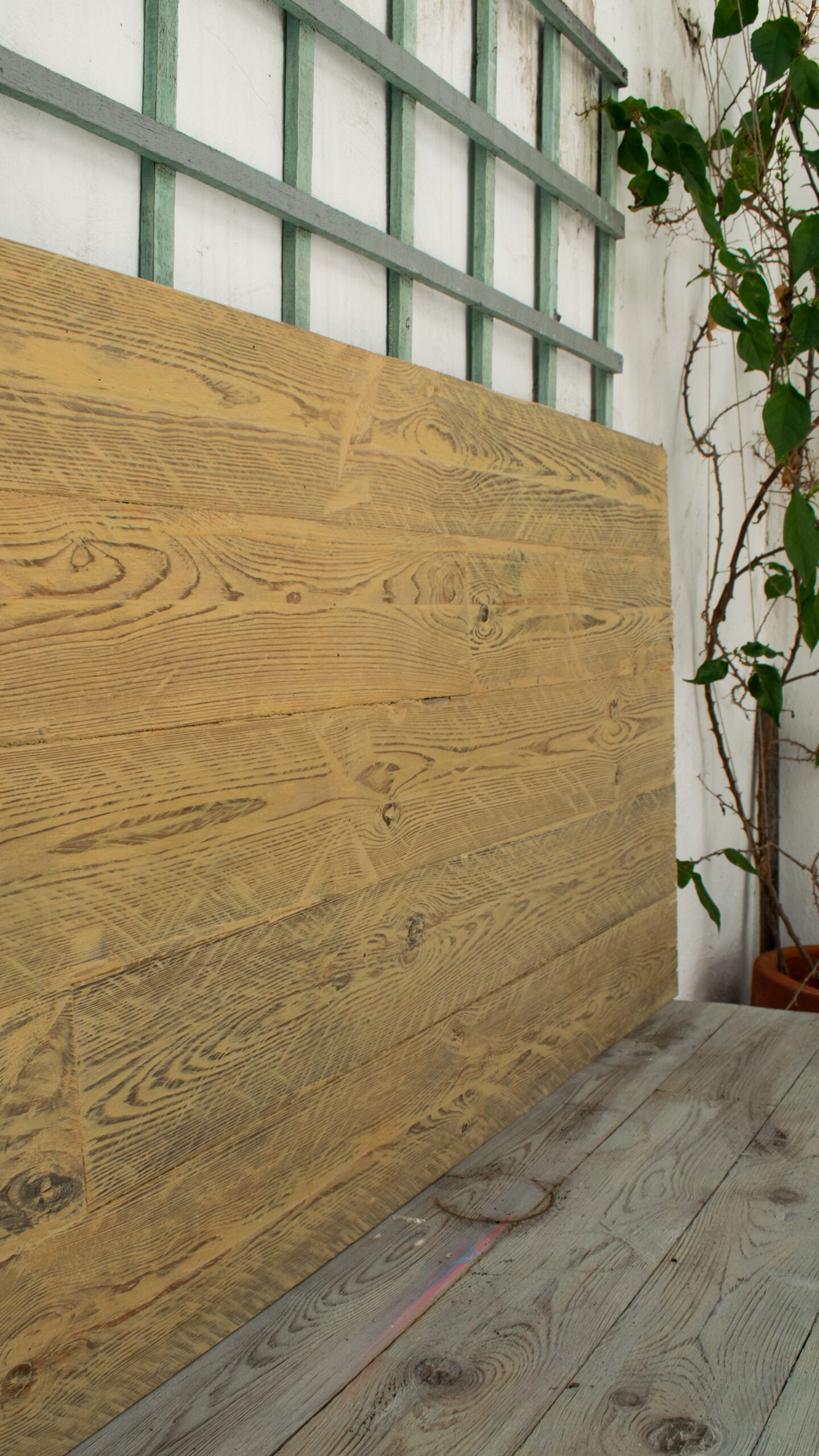 Vintage Moustarda - Image 6